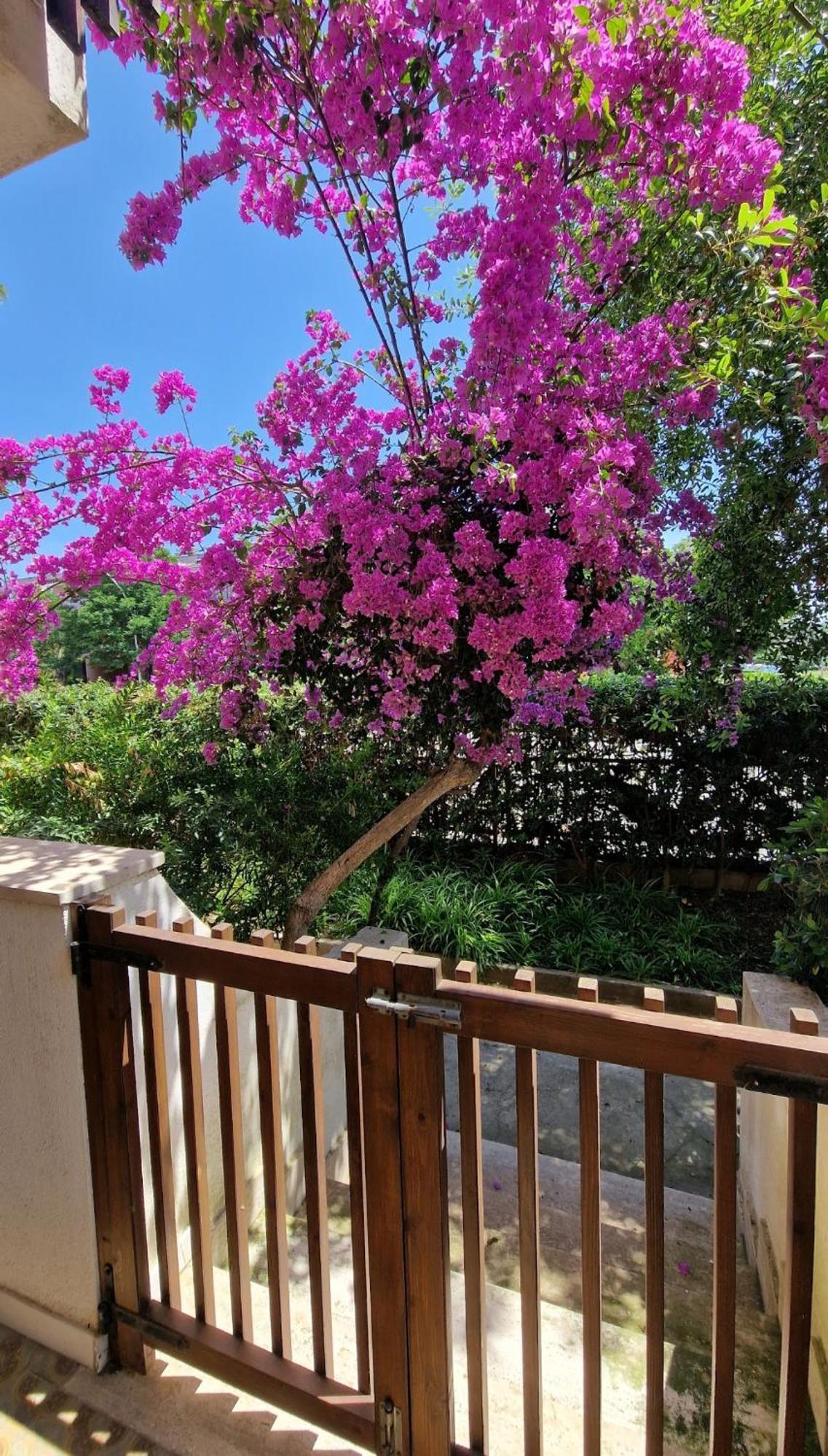 Europe Alguerhouse Apartment Alghero