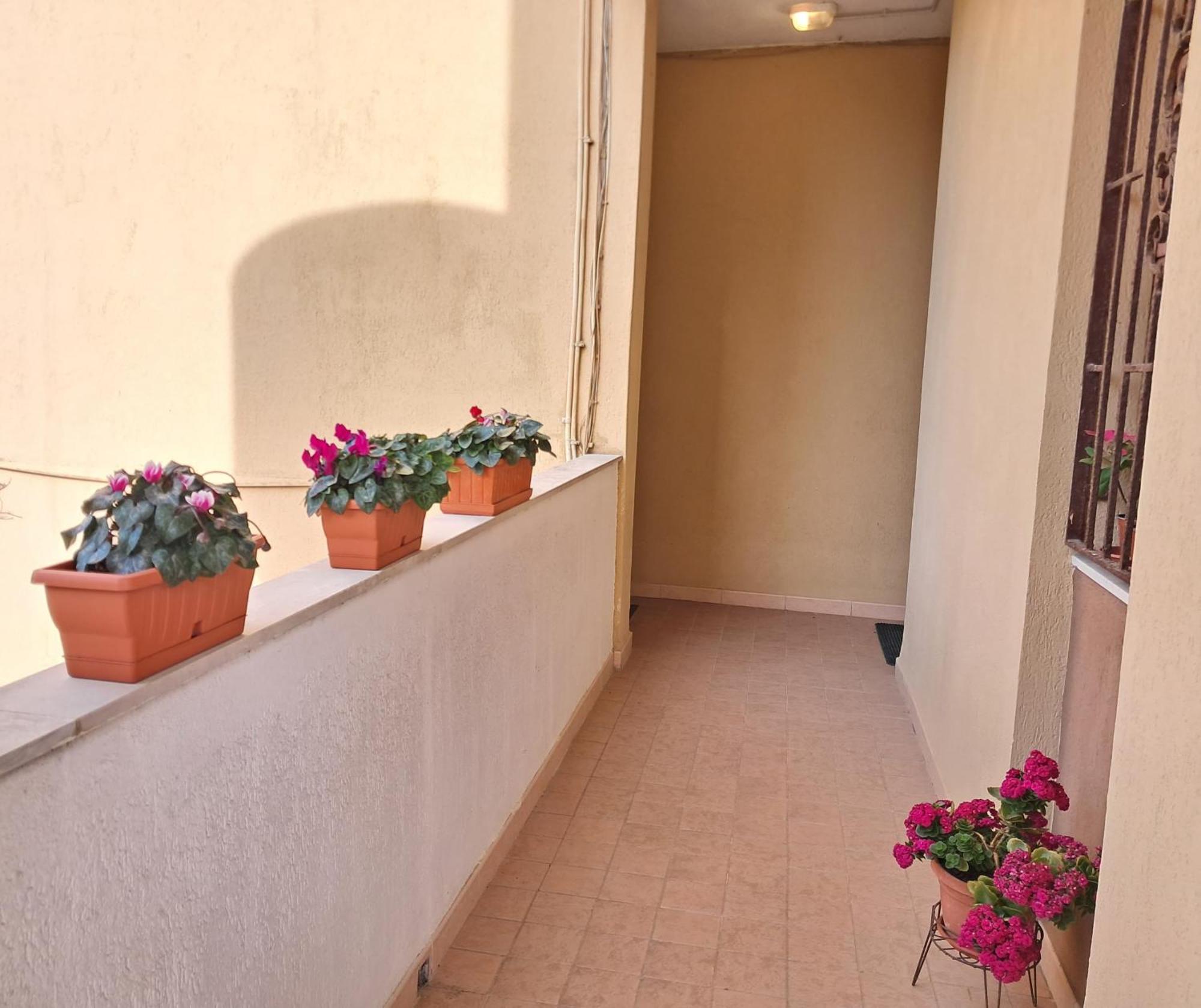 Apartment Europe Alguerhouse Alghero